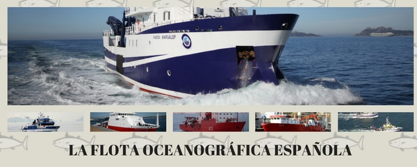 ¿Estudios oceanográficos sin barcos?