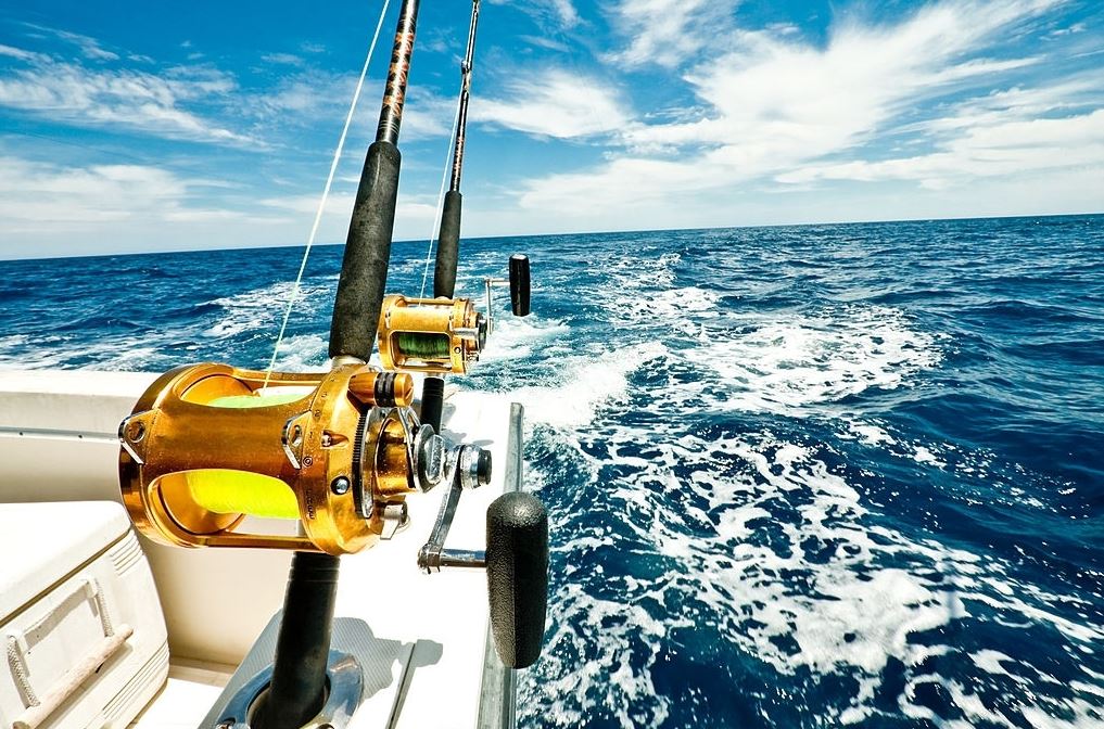 Seguros de barcos pesqueros: 3 Coberturas clave